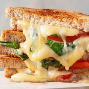 sandwich bread: Homemade Grilled Cheese Sandwich with Tomatoes Cheese and Bread